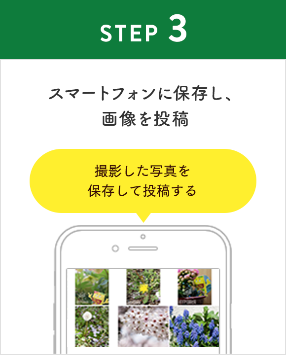 スマートフォンに保存し、画像を投稿