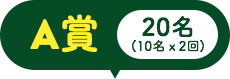 A賞:20名(10名ｘ2回)