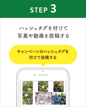 STEP3:キャンペーンのハッシュタグを付けて写真や動画を投稿する