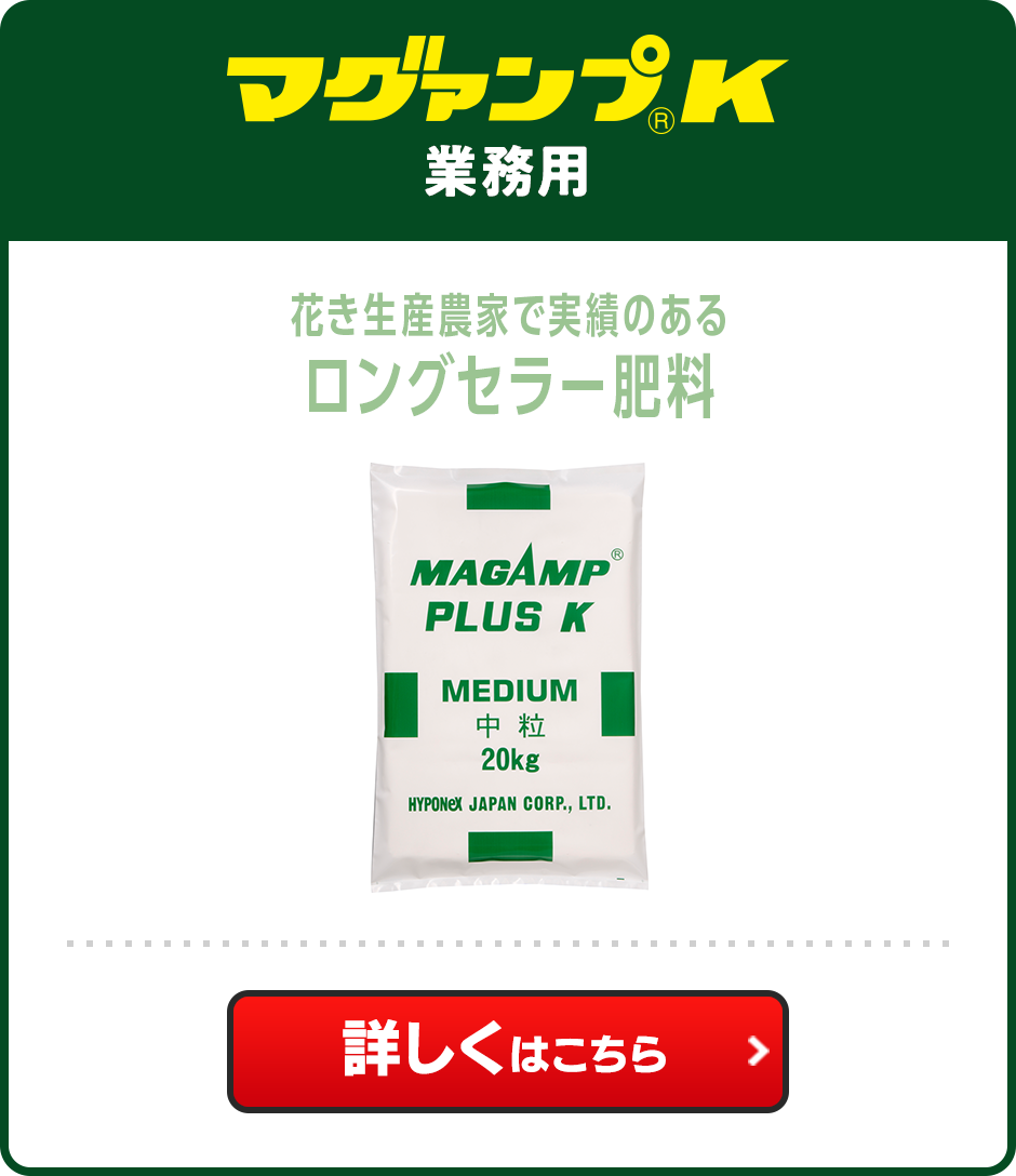 マグァンプK 業務用