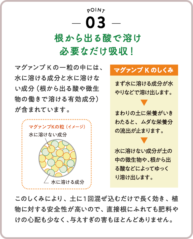 03 : 根から出る酸で溶け必要なだけ吸収！