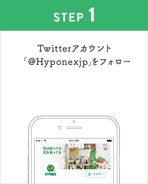 STEP1:Twitterアカウント「Hyponexjp」をフォロー
