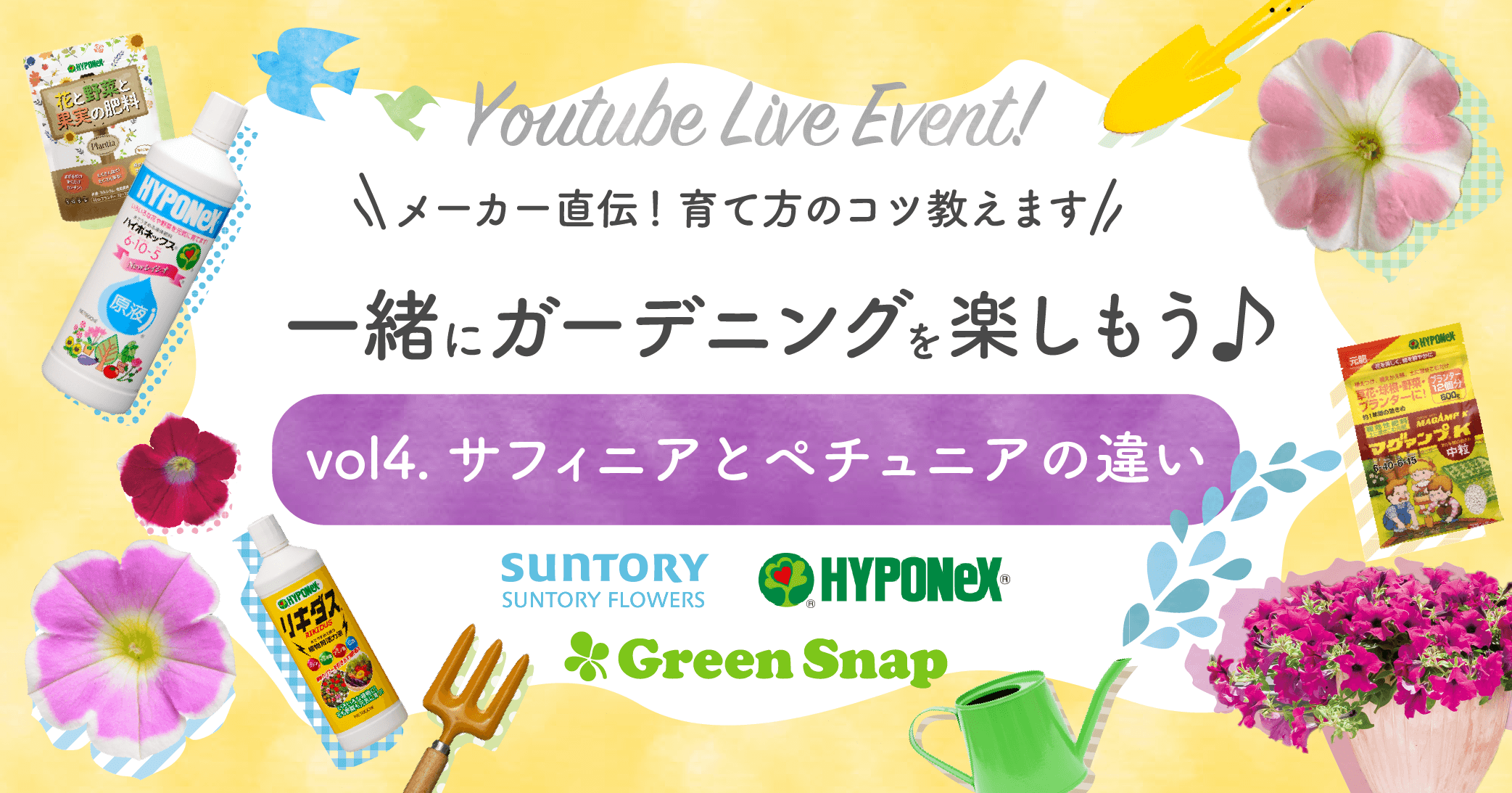 サントリーフラワーズ Greensnap ハイポネックスジャパン コラボ企画 オンラインイベントvol 4 サフィニアとペチュニアの違い 株式会社ハイポネックスジャパン