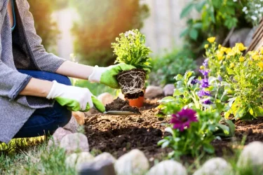 おすすめの宿根草10選｜特長や基本的な育て方などもご紹介 | 植物とあなたをつなぐPlantia