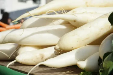 【家庭菜園】大根におすすめの肥料や追肥のポイント、栽培時のトラブル対処方法