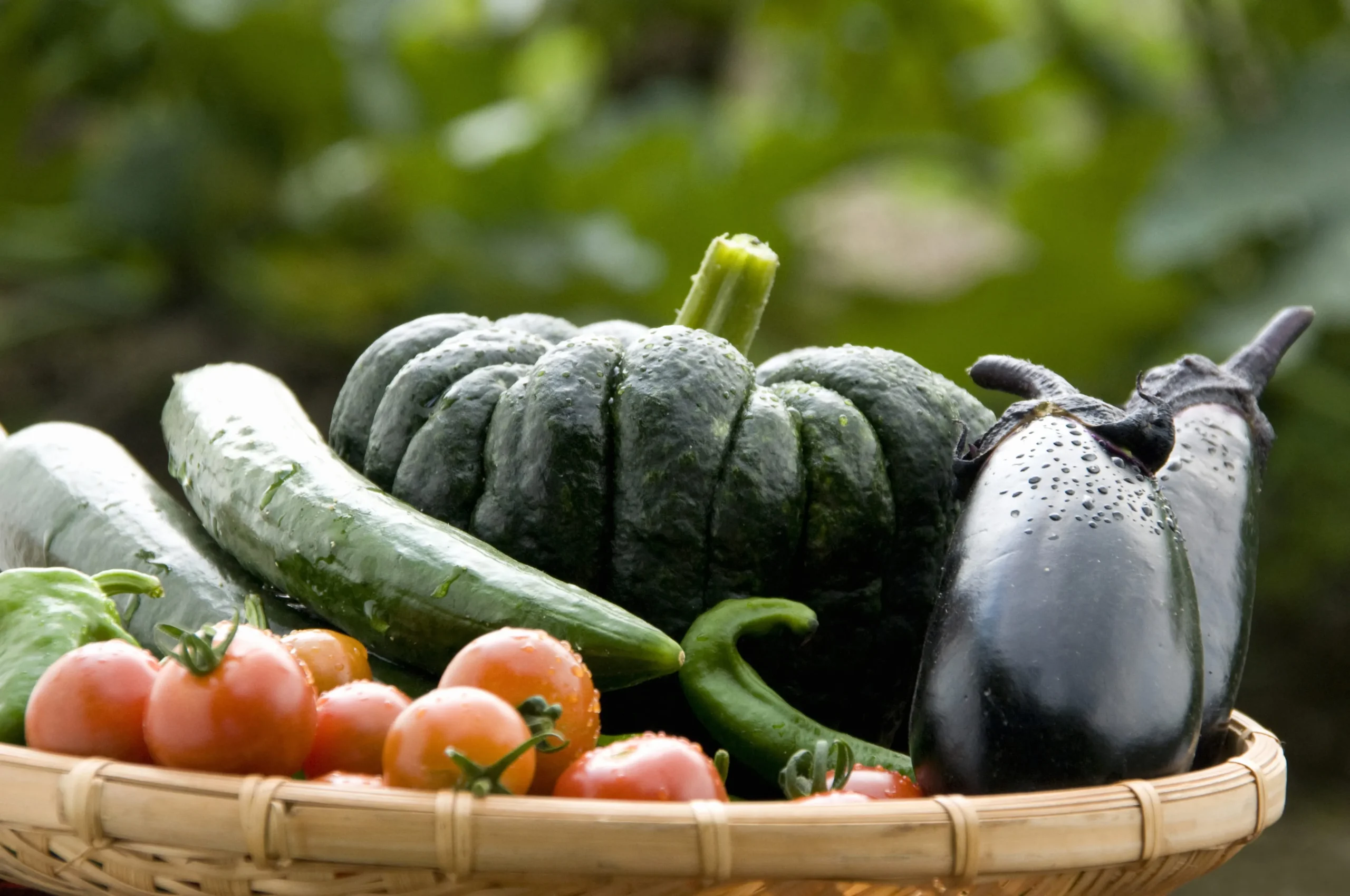 15粒 種子 種 野菜 夏野菜 家庭菜園 - 果菜