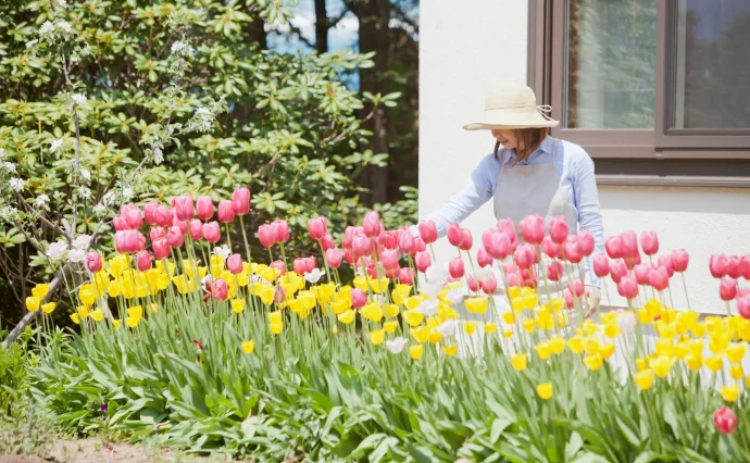 チューリップの球根についているテープはそのまま植えていいのですか 安い