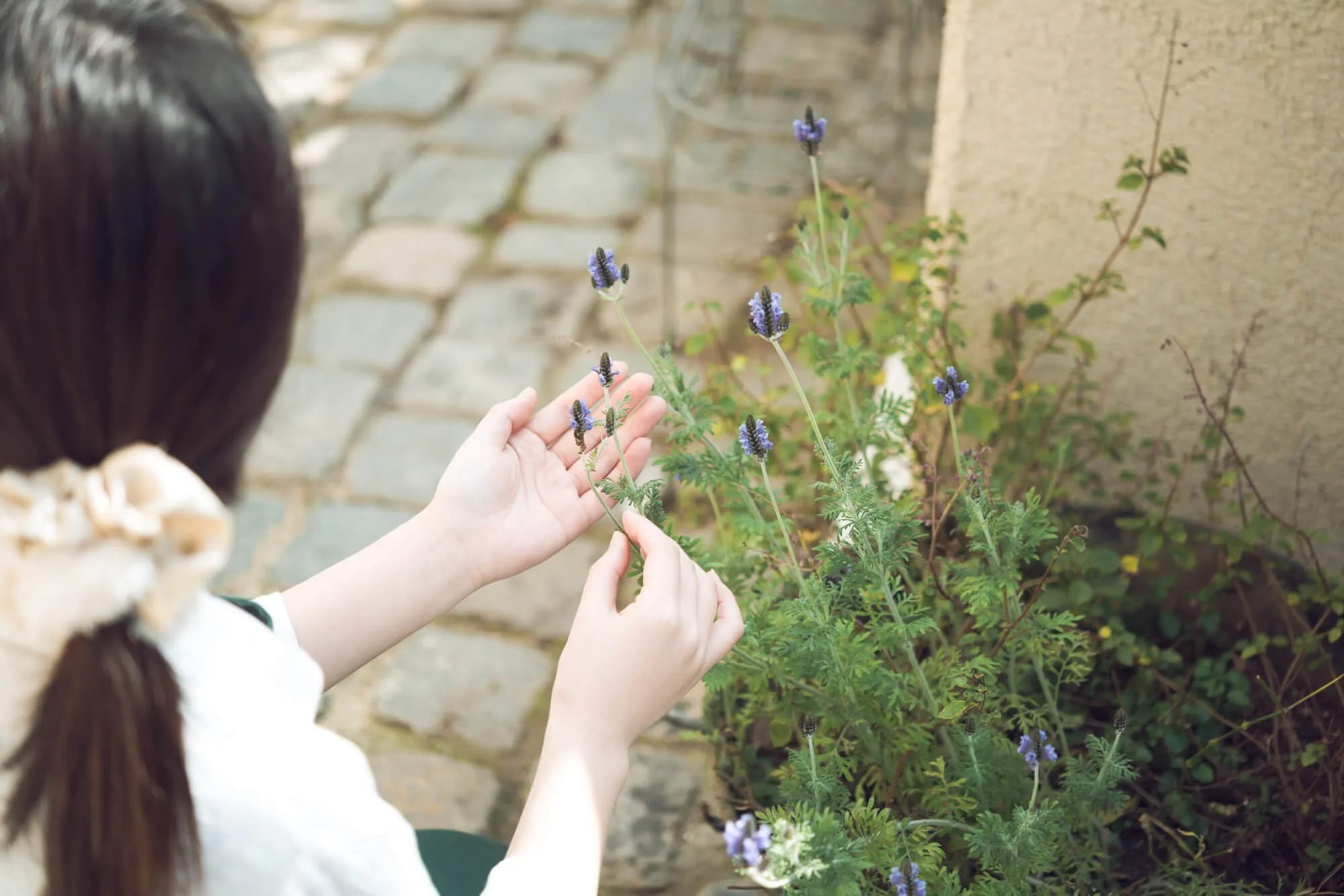 ガーデニングの敵！植物をダメにする害虫と対策 | 植物とあなたを