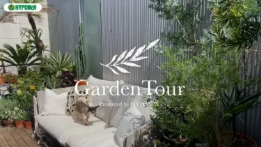 🕊Garden Tour🕊28：南国をイメージしたオージープランツ中心のテラスがおしゃれなお部屋