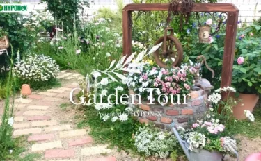 🕊Garden Tour🕊29：フロントガーデン周りのバラに、ウッドデッキの多肉植物や雑貨、DIY作品と見どころ豊富なお庭