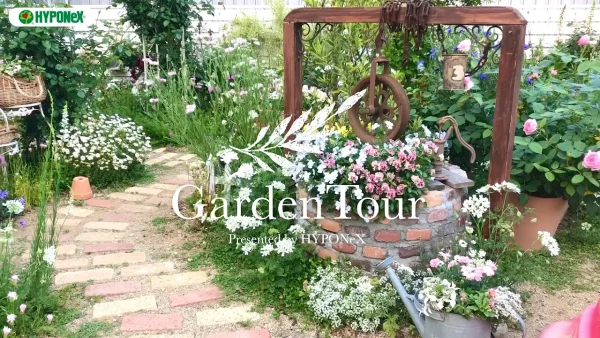 🕊Garden Tour🕊29：バラやウッドデッキの多肉植物や雑貨、DIY作品と見どころ豊富なお庭