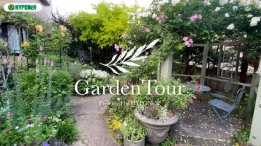 🕊Garden Tour🕊30：ガゼボやアーチで高さを出した四季を感じられるバラと宿根草のお庭