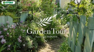 🕊Garden Tour🕊23：バラと草花の共演！ふんわり優しい雰囲気のナチュラルガーデン