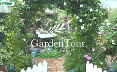 🕊Garden Tour🕊25：壁面のバラやDIYとディスプレイで赤毛のアンの風景を表現したお庭