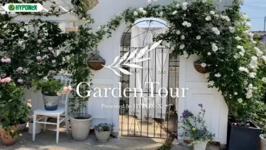 🕊Garden Tour🕊31：手作りの柵や建造物にバラを誘引させた可愛くて優しい雰囲気のお庭