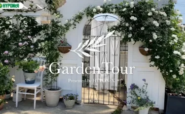 🕊Garden Tour🕊31：手作りの柵や建造物にバラを誘引させた可愛くて優しい雰囲気のお庭