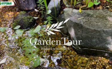 🕊Garden Tour🕊32：里山の雑木林をテーマに自然溢れる鳥たちの憩いのお庭