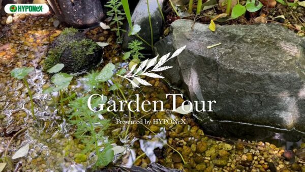 🕊Garden Tour🕊32：里山の雑木林をテーマに自然溢れる鳥たちの憩いのお庭