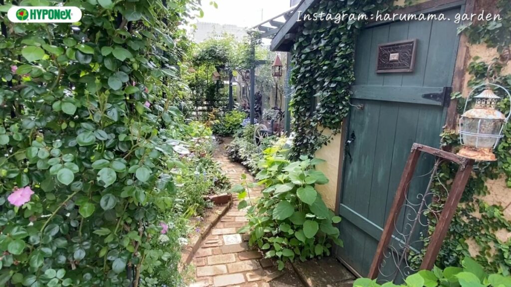 Garden Tour 18：モルタルデコの作品や壁のモルタル塗りやDIYで作り上げたお庭 | 植物とあなたをつなぐPlantia