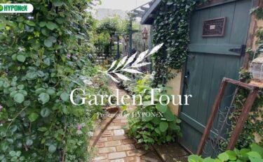 🕊Garden Tour🕊18：モルタルデコの作品や壁のモルタル塗りやDIYで作り上げたお庭