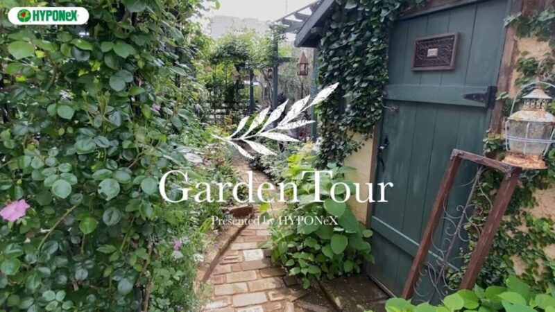 🕊Garden Tour🕊18：モルタルデコの作品や壁のモルタル塗りやDIYで作り上げたお庭