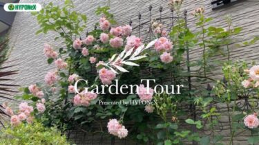 🕊Garden Tour🕊27：古道具やハーブと共に楽しむおしゃれなシェードガーデン