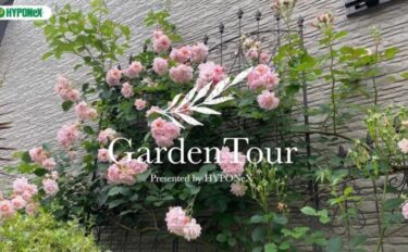 🕊Garden Tour🕊27：古道具やハーブと共に楽しむおしゃれなシェードガーデン