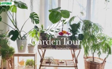 🕊Garden Tour🕊13：種類豊富なモンステラと、ハンギングした植物の長いつるが印象的なお部屋