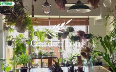 🕊Garden Tour🕊14：天井から吊り下げた観葉植物やドライフラワーがジャングル感を演出するお部屋