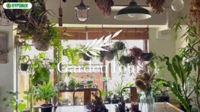 🕊Garden Tour🕊14：天井から吊り下げた観葉植物やドライフラワーがジャングル感を演出するお部屋