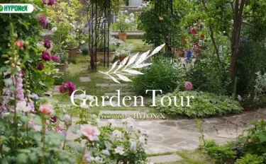 🕊Garden Tour🕊22：種類豊富なバラと小花が可愛らしい宿根草が次々と開花する、ナチュラルガーデン