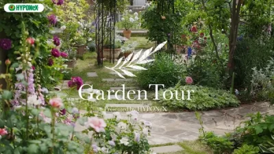 🕊Garden Tour🕊22：種類豊富なバラと小花が可愛らしい宿根草が次々と開花する、ナチュラルガーデン