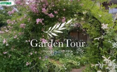 🕊Garden Tour🕊08：淡いピンクや白のバラが咲き誇る、フランスの田舎のようなフレンチガーデン