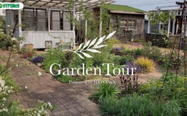 🕊Garden Tour🕊16：無灌水・無施肥で庭づくり。宿根草を中心に四季折々一年を通して楽しめるお庭