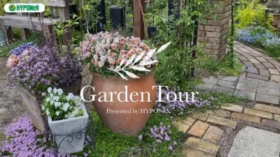 🕊Garden Tour🕊17：雑木やリーフ中心に、落ち着いた色合いの宿根草で彩る癒しのお庭