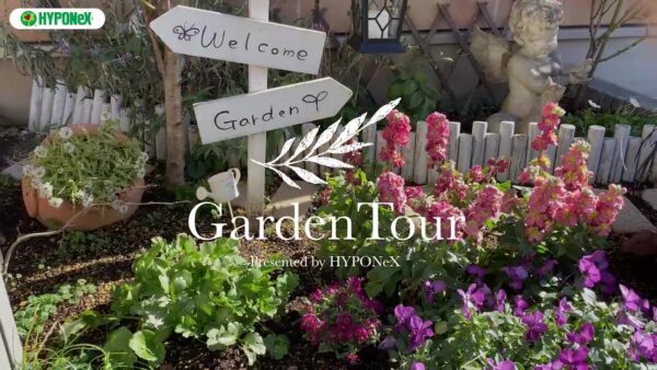 🕊Garden Tour🕊09：母親が残してくれたお花や多肉植物を大切に育てる、日当たりの良いお庭