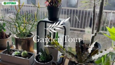 🕊Garden Tour🕊11：アクアリウムをきっかけに植物にハマり始めた、観葉植物に囲まれたお部屋