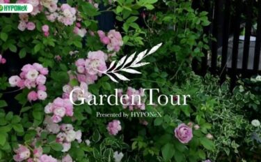 🕊Garden Tour🕊 03：四季が感じられる庭がコンセプトの、バラや蘭の風景が楽しめるお庭