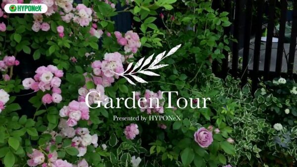 🕊Garden Tour🕊 03：四季が感じられる庭がコンセプトの、バラや蘭の風景が楽しめるお庭