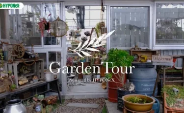 🕊Garden Tour🕊05：色味にこだわった多肉植物の寄せ植えが彩る夫婦二人で作る植物用ハウス