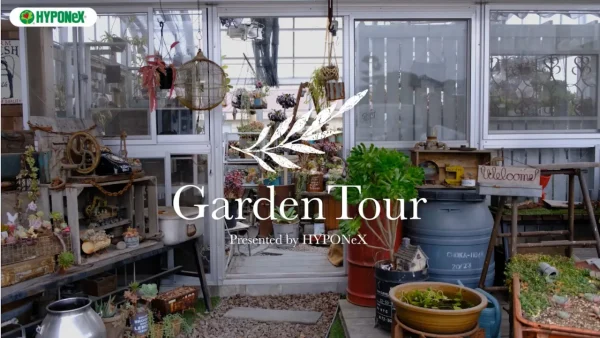 🕊Garden Tour🕊05：色味にこだわった多肉植物の寄せ植えが彩る夫婦二人で作る植物用ハウス