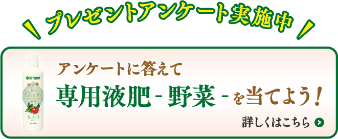 みなとの野菜大辞典 野菜ソムリエプロ緒方湊がお届けするお役立ち情報