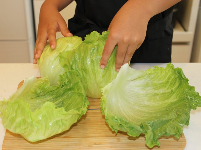 レタス みなとの野菜大辞典