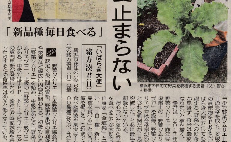 19年11月29日 日本農業新聞 新着情報 みなとの野菜大辞典