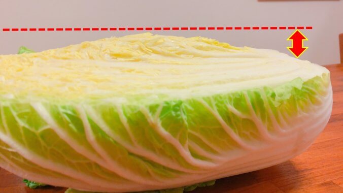 白菜 ハクサイ みなとの野菜大辞典