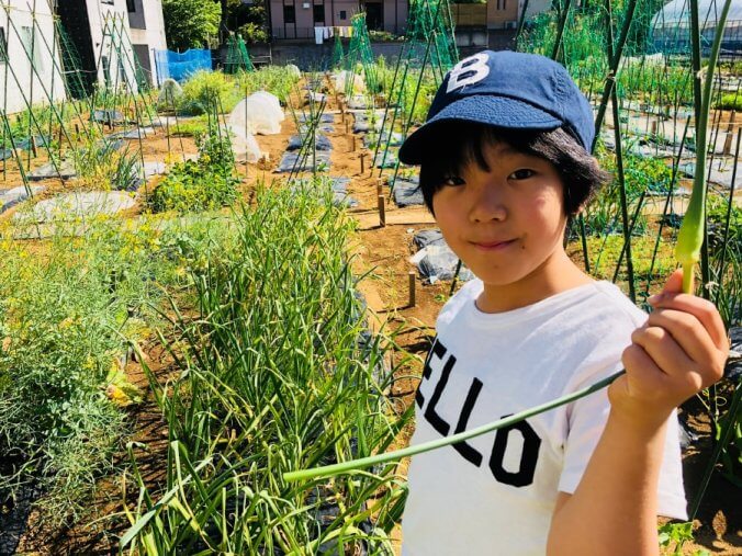 ニンニクの芽 みなとの野菜大辞典