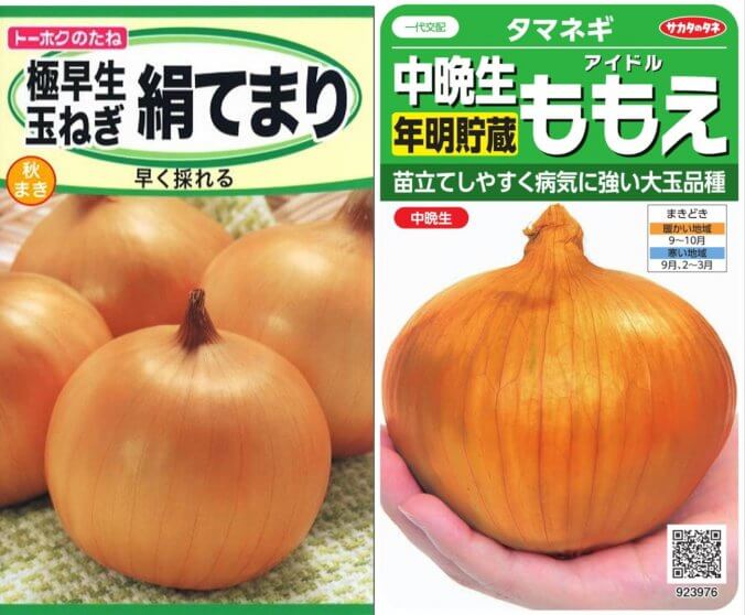 種の袋に書いている 早生 晩生 って何 みなとの野菜大辞典