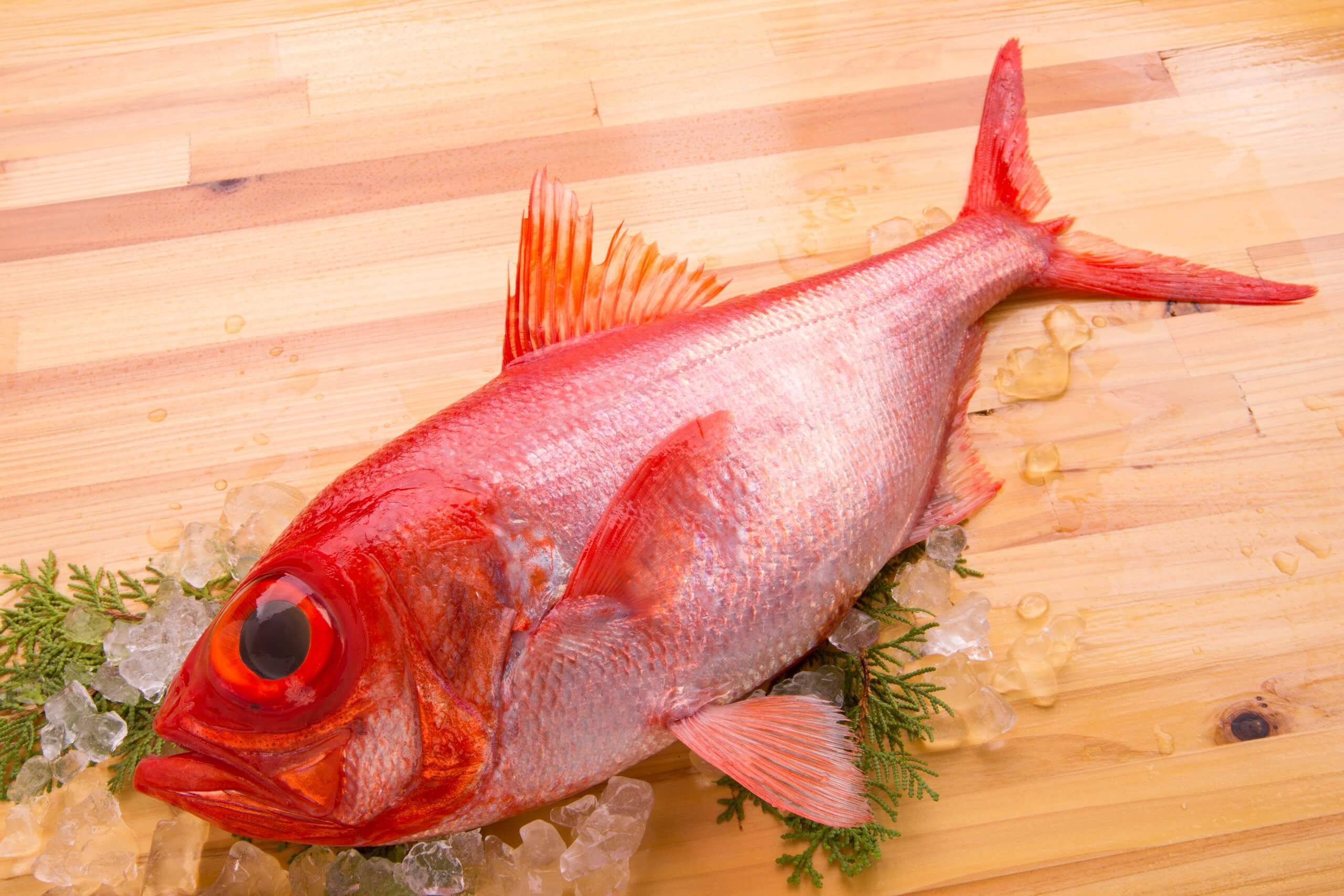 冬の高級魚 キンメダイ 金目鯛 を食す みなとの野菜大辞典