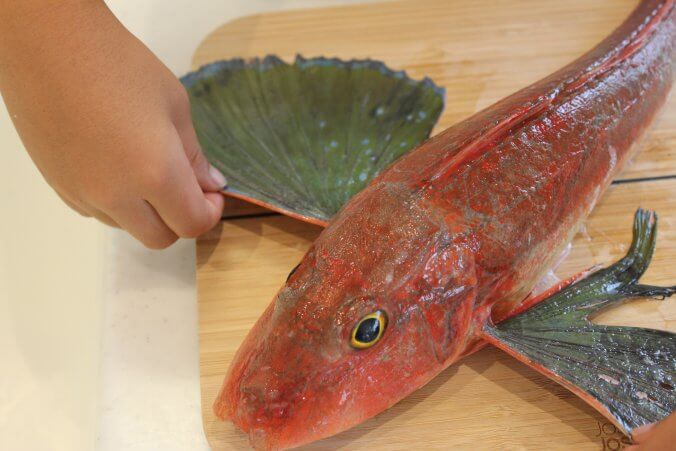 めでたい魚として人気の ホウボウ 魴鮄 みなとの野菜大辞典