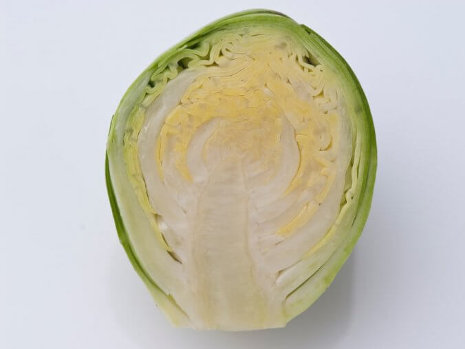 芽キャベツ みなとの野菜大辞典